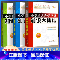 知识大集结 语数英(3本) 小学升初中 [正版]2023小升初衔接知识大集结小学语文数学英语升学夺冠基础重点知识大全通用