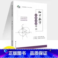 初中数学分类讨论特训 初中通用 [正版]初中数学计算代数几何证明特分类特训上下篇七八九年级方程不等式函数思想导引解题方法