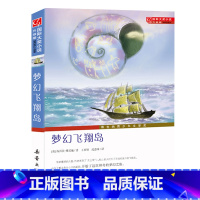 [正版]梦幻飞翔岛(升级版) 7-10-12-14岁青少年儿童成长励志文学小说童书 中小学生课外阅读图书 书籍