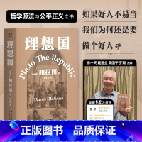[正版]理想国 柏拉图 古希腊原文直译 罗翔多次版本 西方哲学奠基作品 西方哲学经典 出品