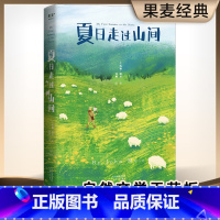 [正版]夏日走过山间 约翰·缪尔 多幅手绘图鉴 美国国家公园之父 植物学 自然文学 自然科普 美文 出品