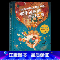 吹牛爸爸的奇幻之旅 [正版]尼尔盖曼幻想小说三部曲 吹牛爸爸的奇幻之旅+奇迹男孩与冰霜巨人+假如我有完美妈妈 儿童奇幻文