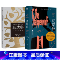 [正版]悉达多+荒原狼(套装2册) 赫尔曼·黑塞 神仙译者姜乙德文直译 诺奖得主 如何走出困惑的一生 寻找自我 果麦出