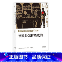 钢铁是怎样炼成的 [正版]钢铁是怎样炼成的 尼古拉·奥斯特洛夫斯基 中文分级阅读八年级 课外读物 俄国长篇小说 世界名著