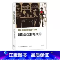 钢铁是怎样炼成的 [正版]钢铁是怎样炼成的 尼古拉·奥斯特洛夫斯基 中文分级阅读八年级 课外读物 俄国长篇小说 世界名著