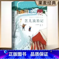 苦儿流浪记 [正版]苦儿流浪记 埃克多·马洛 全译本 教会孩子直面苦难 世界儿童文学经典 学生课外读物 儿童文学 果麦出
