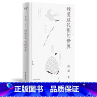 [正版]我爱这残损的世界 海桑 小嘉 现代诗歌集 文学诗歌 出品