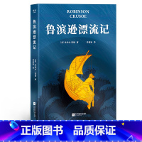 鲁滨逊漂流记 [正版]鲁滨逊漂流记 丹尼尔·笛福 邓嘉宛译 完整无删节 荒岛求生 逆境生存 中小学课外读物 长篇小说 文