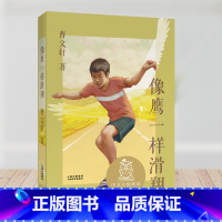 像鹰一样滑翔 [正版]像鹰一样滑翔 曹文轩 经典作品集 中国少年成长故事 11-12岁 中文分级阅读六年级阅读范本 青少
