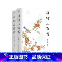 [正版]唐诗三百首+宋词三百首(套装2册) 陈引驰编著 2023版 彩色插图 复旦名师版 中小学生阅读 中国古诗词 古