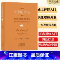 正念的奇迹 [正版]正念的奇迹:获得身心的安详和悦乐 一行禅师 伊能静 全球影响力的佛学大师 禅修 冥想 减压 灵性觉知