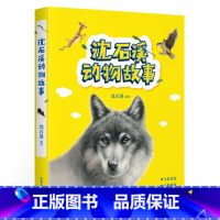 [正版]沈石溪动物故事 沈石溪 送给孩子的动物故事 精美手绘插图 儿童文学 课外阅读 出品