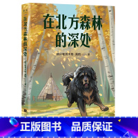 在北方森林的深处 [正版]在北方森林的深处 全彩插图 经典动物故事集 自然文学 10-11岁 中文分级阅读五年级 课外读
