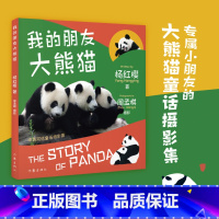 [正版]我的朋友大熊猫 杨红樱 专属小朋友的大熊猫童话摄影集 国宝的秘密 儿童绘本 出品