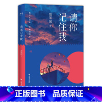 [正版]请你记住我 刘墨闻 长篇小说 青春文学 校园爱情 成长 初恋 陪伴 友情 出品