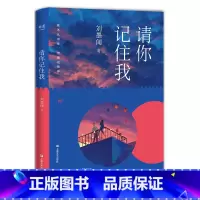 [正版]请你记住我 刘墨闻 长篇小说 青春文学 校园爱情 成长 初恋 陪伴 友情 出品