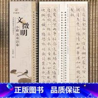 [正版]文征明小楷落花诗册 近距离临摹字帖练习字卡 弘蕴轩编 全文无删减放大碑帖 文徵明墨迹本学生成人近距离临摹字卡全