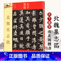 [正版]北魏墓志铭 天下墨宝 元桢墓志铭 元纂元显俊元珽妻穆玉容司马昞 世宗嫔司马显姿 毛笔书法字帖原碑帖吉林文史