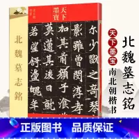 [正版]北魏墓志铭 天下墨宝 元桢墓志铭 元纂元显俊元珽妻穆玉容司马昞 世宗嫔司马显姿 毛笔书法字帖原碑帖吉林文史