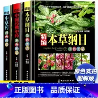 [全套3册]本草纲目+中草药+中国药典中药 [正版]本草纲目精装中草药图谱本草纲目原版全套原色图谱李时珍中草药彩图中医基