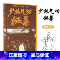 [正版] 少林气功秘集 释德虔徐勤燕人民体育出版社少林武术练气功法中国少林武术大全 健身养生气功书 内力内功气功书籍