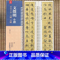 文征明 小楷(草堂十志 雪赋 月赋) [正版]经典碑帖 近距离临帖摹字练习卡 文征明 小楷 草堂十志 雪賦 月賦 文徵明