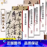 共4本 祝允明书法合集 [正版]祝允明书法合集4册 草书岳阳楼记乐府诗四首洛神赋前后赤壁赋祝枝山毛笔字帖彩色放大本中国著