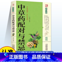 中草药配对与禁忌 [正版]中草药配对与禁忌 传统医药典籍民间偏方千金要方中医药方家庭健康保健中医入门中药中草药鉴定配方秘