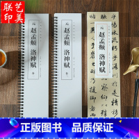 [正版]共2本赵孟頫洛神赋 经典碑帖近距离临摹字卡 全文收录 简体旁注 赵孟俯行书碑帖洛神赋行楷毛笔书法字帖卡 安徽美