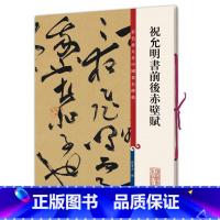[正版]祝允明书前后赤壁赋 祝枝山草书毛笔书法字帖 繁体旁注 孙宝文 彩色放大本碑帖 图书籍 成人学生毛笔字帖墨迹书籍