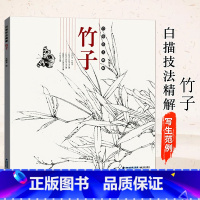 [正版]白描技法精解 竹子 中国画花卉白描工笔画技法 白描勾线底稿画谱绘画步骤讲解初学者入门基础教程 线描写生范例画家