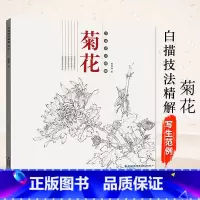 [正版]白描技法精解 菊花 中国画动物花鸟工笔画底稿书 白描勾线画谱美术绘画初学者入门到精通基础教程 线描写生范例画家