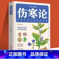 伤寒论 [正版]伤寒论张仲景原著中医书籍大全彩图典藏版含原文注释译文杂病论医药大全中医书籍中草药彩图大全书中医入门书籍中