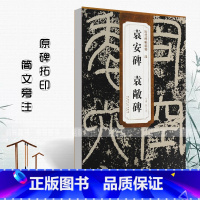[正版]0减40汉袁安碑袁敞碑历代碑帖精粹薛元明篆书毛笔书法练字帖成人学生练习临摹技法书写练字原碑原帖古帖安徽美术出版