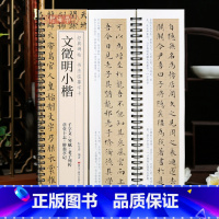 [正版]学海轩文徵明小楷草堂十志醉翁亭记千字文琴赋老子列传楷书碑帖书法临摹字卡繁简体旁注对照原碑原帖毛笔书法字帖