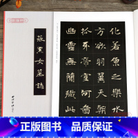 [正版]学海轩 张黑女墓志缮碑帖北魏碑刻拓本全文原帖高清印刷放大版书籍 楷书毛笔书法临摹赏析字帖附简体旁注张玄墓志 西