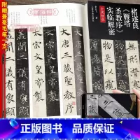 [正版]赠毛笔全文视频版褚遂良雁塔圣教序实临解密碑帖名品全本实临系列翁志飞褚体楷书毛笔字帖古贴书法贴临摹单字解析上海书