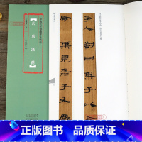 武威汉简 [正版]学海轩 武威汉简 中国古代简牍书法 梁德水编 毛笔竹简文汉简民间书法字帖 威武汉简竹简临摹字帖河南美术