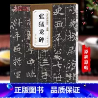[正版]北魏张猛龙碑历代碑帖杜浩楷书毛笔字帖软笔书法成人学生临摹临帖练习古帖孟梦简体旁注原碑原贴书籍安徽美术出版社
