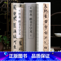 共2本 智永楷书千字文 [正版]学海轩共2本智永楷书千字文碑帖临摹卡原色原帖简体旁注洪亮编放大单行智永楷书字卡毛笔书法字