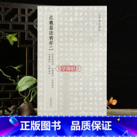 北魏墓志精粹二 [正版]学海轩 北魏墓誌二 高照容墓誌元賄墓誌元懌墓誌元瑛墓誌元巶墓誌 魏碑楷书临摹名家毛笔字帖 北朝墓
