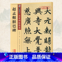 [正版]学海轩赵孟頫胆巴碑碑帖墨点彩色本第二辑附简体旁注赵体赵孟俯楷书毛笔字帖书籍书法成人学生临摹古帖鉴赏湖北美术出版