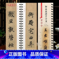 [正版]学海轩 智永真书千字文 近距离临摹字卡 彩色放大本中国著名碑帖习字卡 繁体旁注智永楷书毛笔书法字帖上海辞书出版