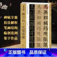 [正版]学海轩柳公权玄秘塔碑新书谱中国书法基础教程柳体楷书毛笔字帖书籍书法临摹练古帖碑帖特点技法讲解笔画浙江人民美术出