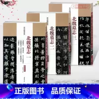 [正版]学海轩共3本北魏墓志1-3元桢穆亮夫人王氏司马昞元遥墓志李璧司马顯姿元霊曜元崇业元纂于仙姬元肪张黑女毛笔字帖书