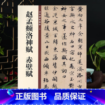 [正版]赵孟頫洛神赋 赤壁赋 16开行书毛笔书法字帖 中华书局 中华碑帖16 简体旁注