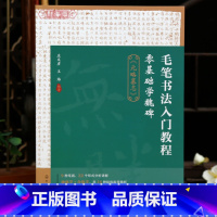 元略墓志 [正版]学海轩元略墓志毛笔书法入门教程零基础学魏碑9种笔画22个形式分析讲解16种结体指导解析作品中堂对联团扇