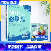 数学(人教版) 九年级下 [正版]2025初中必刷题九年级下册数学人教版 初三下册数学RJ九下数学BS必刷题同步训练复习