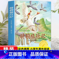 [精装硬壳]骑鹅旅行记 [正版]尼尔斯骑鹅旅行记历险记原著 快乐读书吧六年级下册必读课外书 小学生课外阅读书籍适合6年级