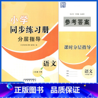 语文同步练习册分层指导 六年级下 [正版]23年六年级下册语文小学同步练习册分层指导配人教版六年级下册语文同步练习册分层